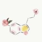 Maria’s notes: nutrition and health