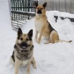 Жизнь Герды и её семьи