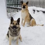 Жизнь Герды и её семьи