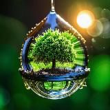 Дичевые интересности