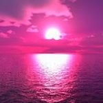 T2X2 | Стримы/Фильмы