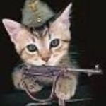 Пишет Бойцовый кот Мурз (kenigtiger)