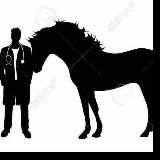 OT KASALLIKLARI (kanal)