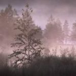 Экопоходы с Михаилом Веревченко.