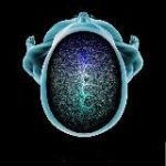 Radiology Pro  Рентгенология