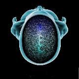 Radiology Pro  Рентгенология