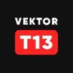 Vektor T13 Security