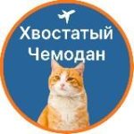 Хвостатый чемодан | Перевозка животных