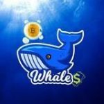 Whales Crypto