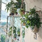 Macro’Kate plants Растения, макраме, уют