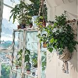 Macro’Kate plants Растения, макраме, уют