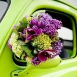 Красота Любви