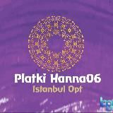 Платки оптом из турции палантины шарфы шейлы из Турции