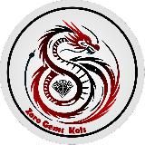 鲸鱼，投资者之家 ZORO