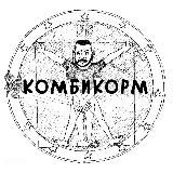 Призрак Киева Z