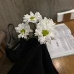 𝗺𝘂𝗻𝗮𝗾𝗮𝘀𝗮𝗮