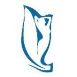 НИКА СПРИНГ