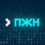 Программист живёт нормально