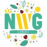 CANALE NWG