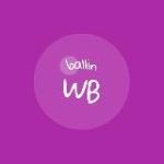 Товары с Wildberries