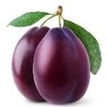 Гродненские сливы – новости Гродно