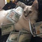 ꜱᴏᴍᴇ ᴘʀᴇᴛᴛʏ ɢɪʀʟꜱ