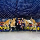 Виталий и Виктория Довгалюк