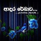 ආදර රේඛාව…..