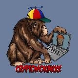 Gnezdo Hub by Bottlecruiser | ex Crypto Mokakke