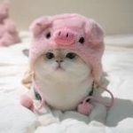 Инвестировал в инвестиции (0 баланса)