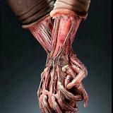 قناة المفاضلة 6 (clinic)