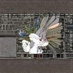 SkerInfo – новости о сбоях // skergg