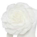 YULIA PROKHOROVA BELOE ZOLOTO