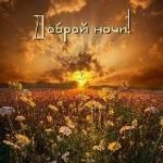 Спокойной Ночикартинки