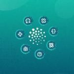 Сириус Олимп: всё об олимпиадах