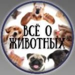 ВСЁ О ЖИВОТНЫХ