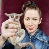 Дендра Плэнет