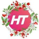 Телеканал НТ | Новгородская область