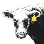 Мясной кооператив «Старая корова»