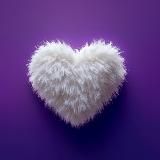 Первый пушистый