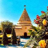 𝙴𝚉𝙸𝙳𝚂𝙺𝙸𝙴 𝙿𝙴𝚂𝙽𝙸