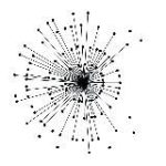 Уроки Медитации | Москва