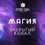 ЧЕРНАЯ ПЯТНИЦА В STUDY TARO