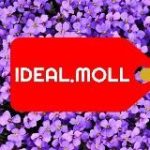 ИДЕАЛ МОЛЛ НАЛЬЧИК