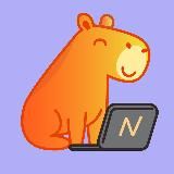 Networkio – релокация и карьера за рубежом