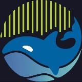 Арктик-отель «Китовый Берег»