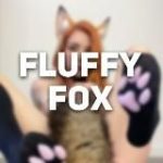 Fluffy fox