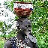 FOR€X AFRICA SCHOOL