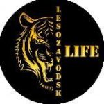 🟡 LESOZAVODSK LIFE