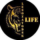 🟡 LESOZAVODSK LIFE